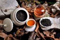 六神茗茶植萃系列全新上市，一年四季茶香四溢