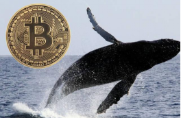 OKEx频现鲸鱼交易，投资者选择“比特币+股票”避险