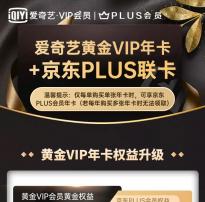 京东PLUS + 爱奇艺VIP双年卡降至138元 活动截至4月25日