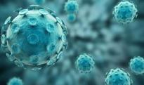 HPV感染完全可治愈 专家发现终极克星