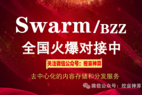 7月5日前swarm主网上线，bzz币开盘了 bzz私募币开始交易