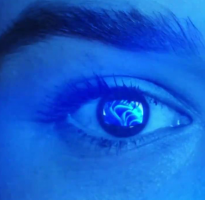 微软Win11全新预告“眼睛”暗藏壁纸 官推头像和背景图更换
