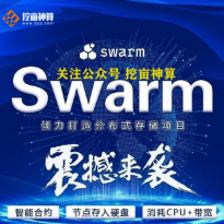 Swarm项目主网上线，swarm矿机应该如何选择，怎么区分好坏矿机