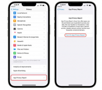 iOS 15.2测试版更新：如何在iOS 15.2中使用应用隐私报告