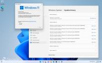 微软更新Win11 22H2发布预览版 修复会导致驱动安装出错的问题