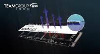 十铨发布 MP44L M.2 PCIe 4.0 SSD：采用突破性散热应用技术，业界首创散热标签
