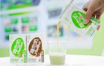畅享绿色生活 自带环保健康属性的维他奶燕麦奶别错过