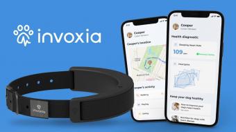 Invoxia 发布狗狗智能项圈 将在 2023 年第三季度上市售价 149 美元