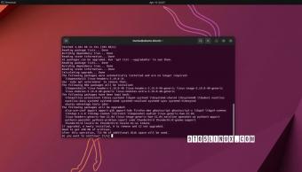 4月20日Canonical 发布Linux 内核安全更新    累计修复17 个安全漏洞
