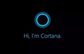 微软Win11 Build 25905 预览版更新允许用户更轻松地卸载 Cortana 语音助手