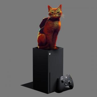 8月11日猫咪主题冒险游戏《迷失》正式登陆Xbox Series X|S和Xbox One