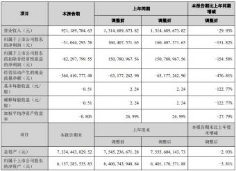 华宝新能2023年上半年实现营业收入9.21亿元，同比下降29.93%