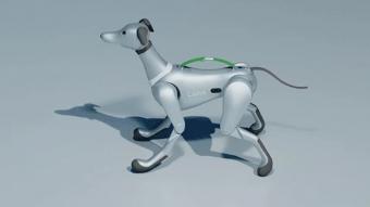 人工智能机器狗“莱卡”为太空旅行者提供身体和情感支持