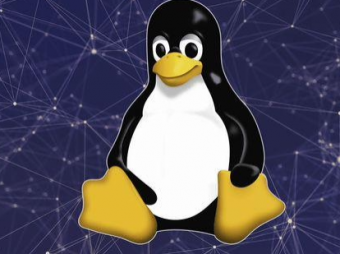 Linux 6.8内核窗口合并期现性能退步，Linus Torvalds亲自发警告