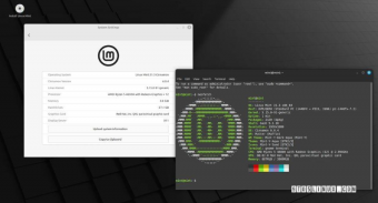 Linux Mint 21.3发布：实验性支持Wayland，Cinnamon 6.0全新升级