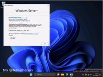Windows Server 2025：全新预览版更新发布