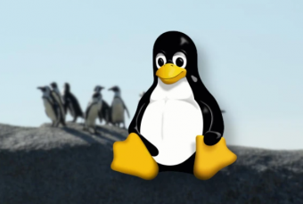 Linux桌面操作系统市场份额突破4%：趋势分析与原因探究